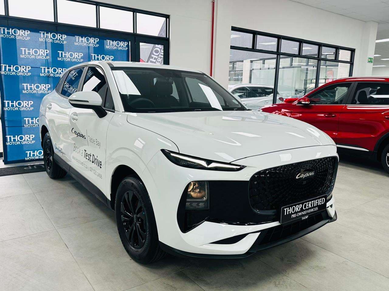 2026 Lepas L4 Amur
